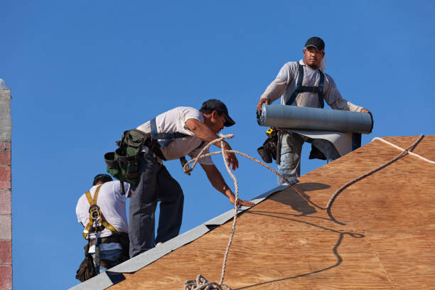 Roof Gutter Cleaning in Boring, OR